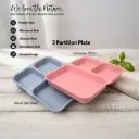 3 Partition Plate