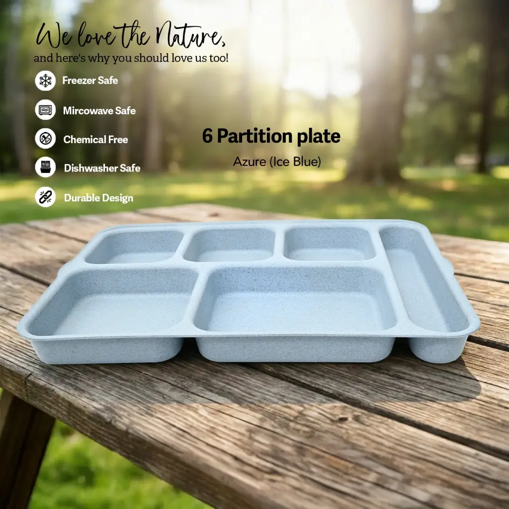 6 Partition Plate